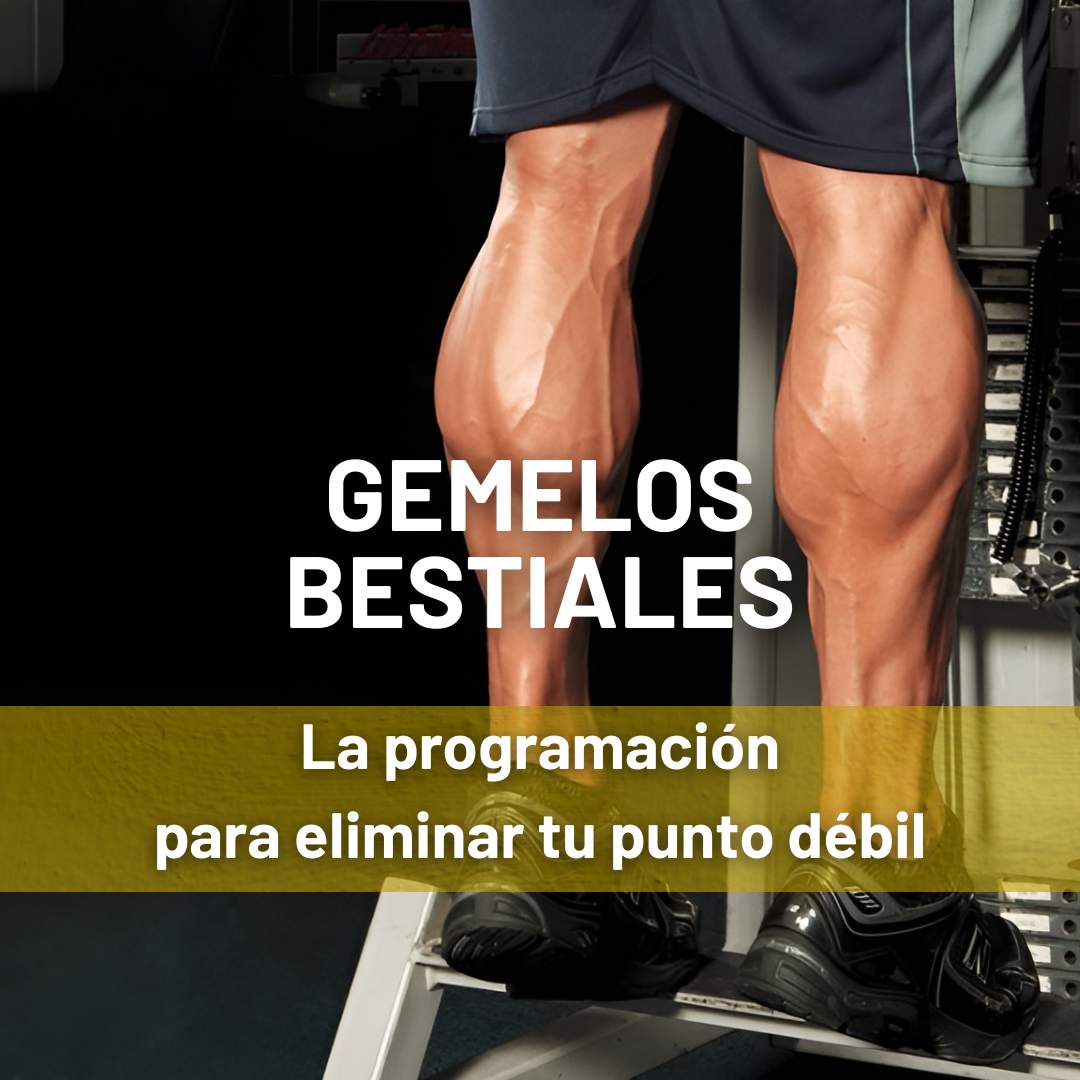 GEMELOS BESTIALES(2)