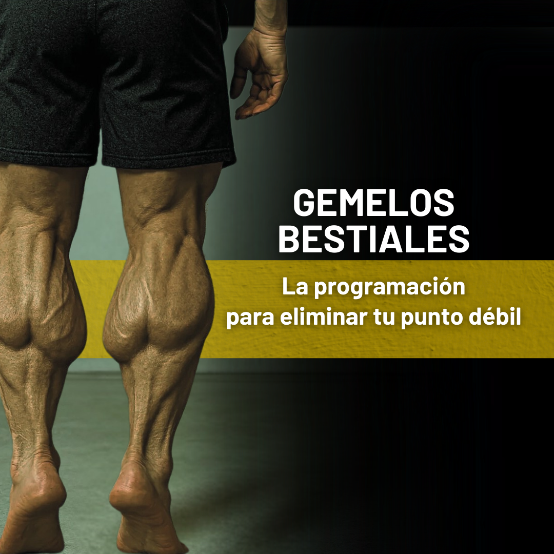 Portadas cursos(1) Portadas cursos(1)